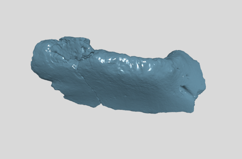 ANHM 1 320  Prefrontal left