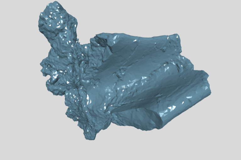 ANHM (no number) Pubis skull fragment