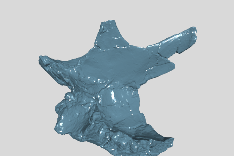 ANHM 2 845 73  Braincase fragment