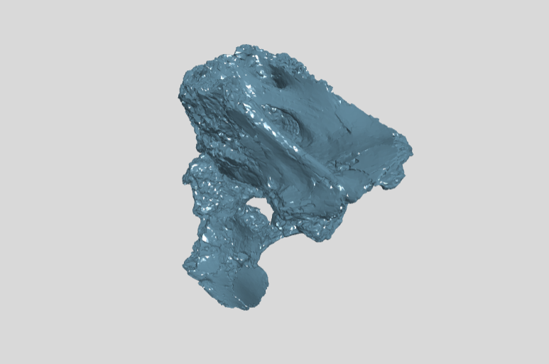 PM TGU 120.9-Sh1-4 posterior cervical vertebra