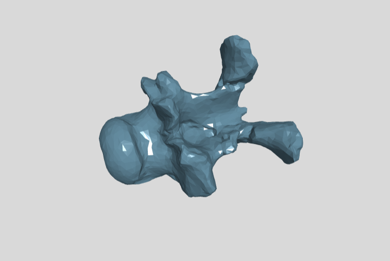 PM TGU 16.0-15 basioccipital.basisphenoid