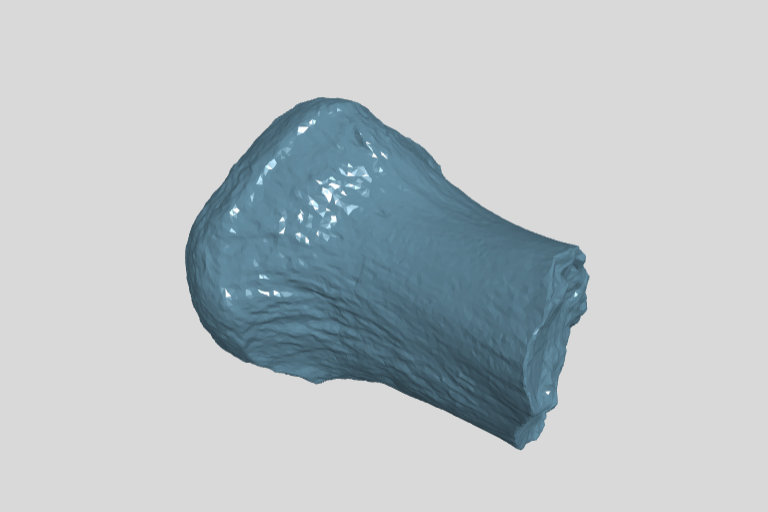 PM TGU 16.0-83 distal fragment of metetarsal III