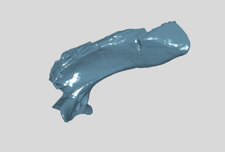 PM TGU 16.1-136 left exoccipital opisthotic