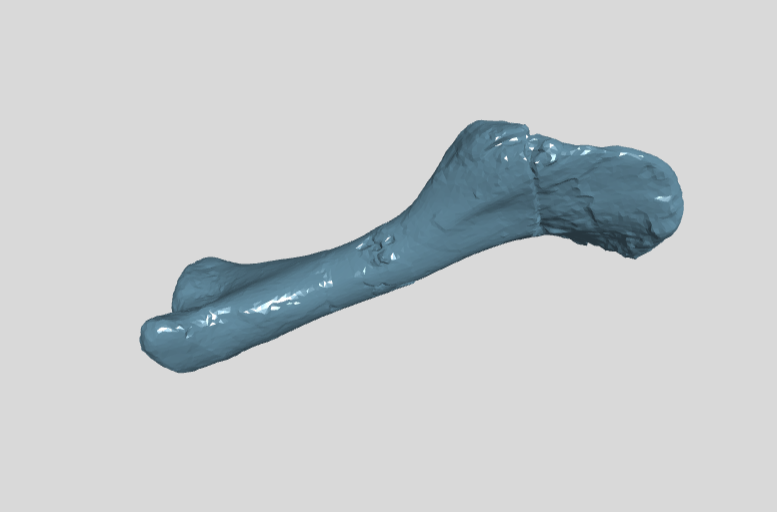 PM TGU 16.1-228 left humerus