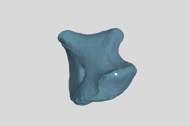 PM TGU 16.1-276 right coracoid