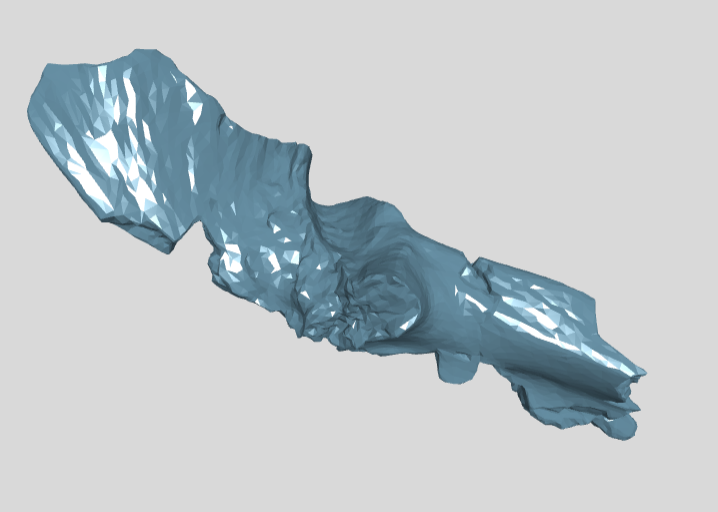 ZIN PH 7.117 left surangular posterior fragment