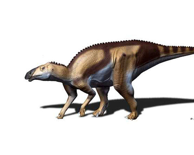 Кундурозавр Нагорного