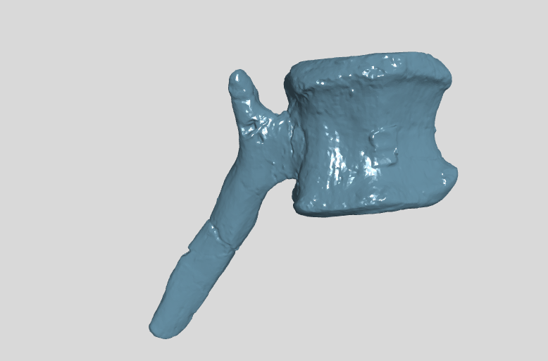 ANHM 2 845 102 (48)  Terminal caudal vertebrae