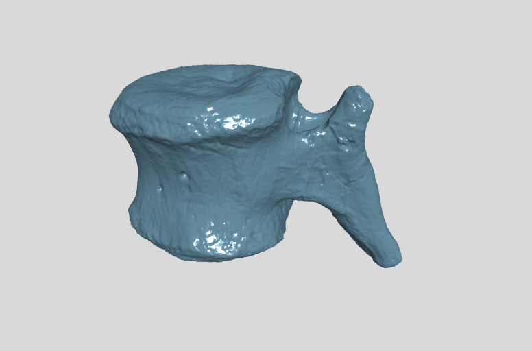 ANHM 2 845 107 (53) Terminal caudal vertebrae.stl