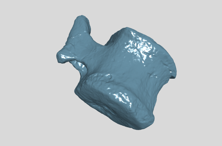 ANHM 2 845 108 (54)  Terminal caudal vertebrae.stl