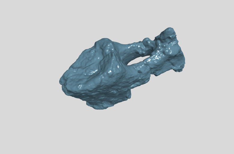 ANHM 2 845 113 (60) Terminal caudal vertebrae.stl