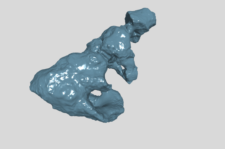 ANHM 2-845-118 (66-68) Terminal caudal vertebrae