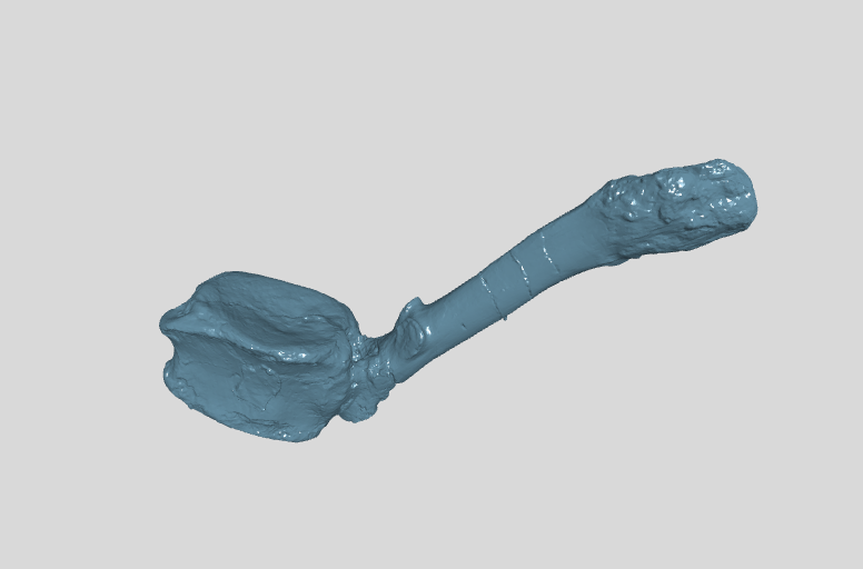 ANHM 2 845 125,164 (24)  Terminal caudal vertebrae