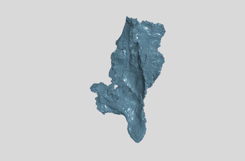 ANHM 2 845 13 Caudoventral portion of right nasal cast