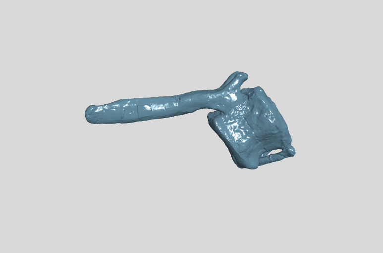 ANHM 2 845 151 (42) Terminal caudal vertebrae