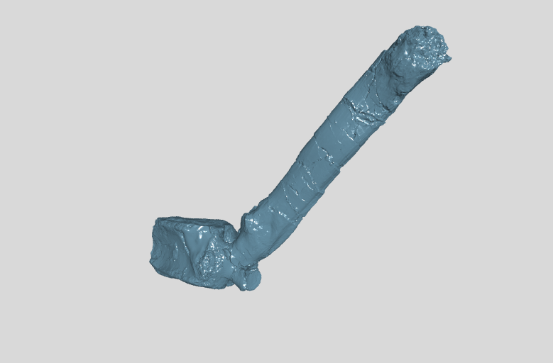 ANHM 2 845 70 (14)  Caudal vertebra