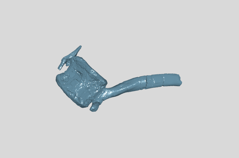 ANHM 2 845 93 (35) Terminal caudal vertebrae