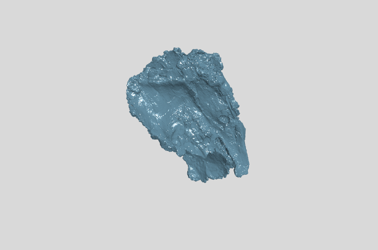 Caudoventral portion of right nasal 1