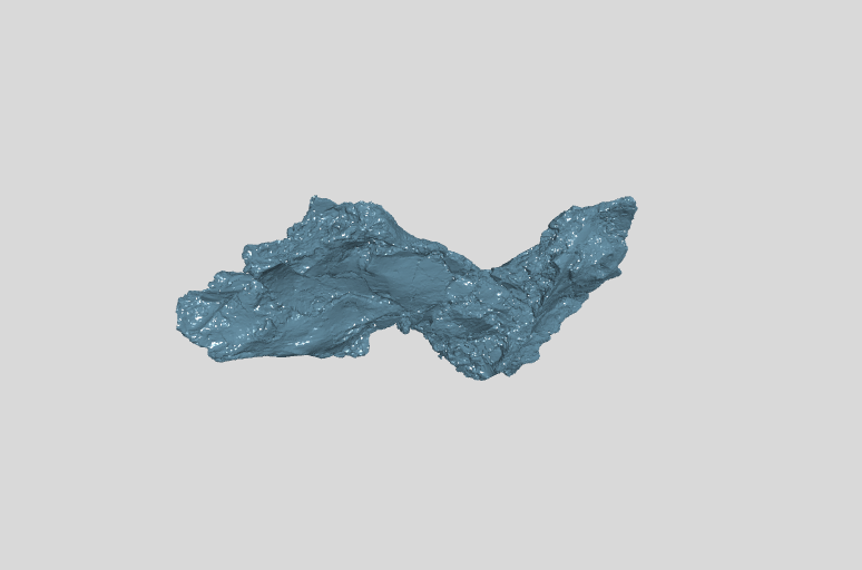 Caudoventral portion of right nasal 2