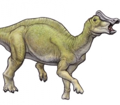 Ниппонозавр сахалинский